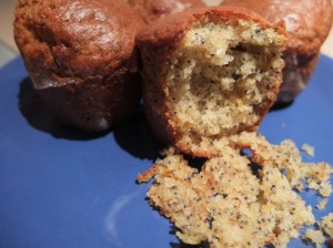 orange poppy muffins